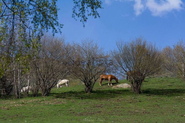 casale in vendita a Zandobbio in zona Selva