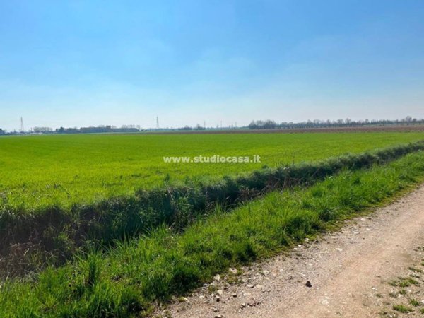 terreno agricolo in vendita a Zanica