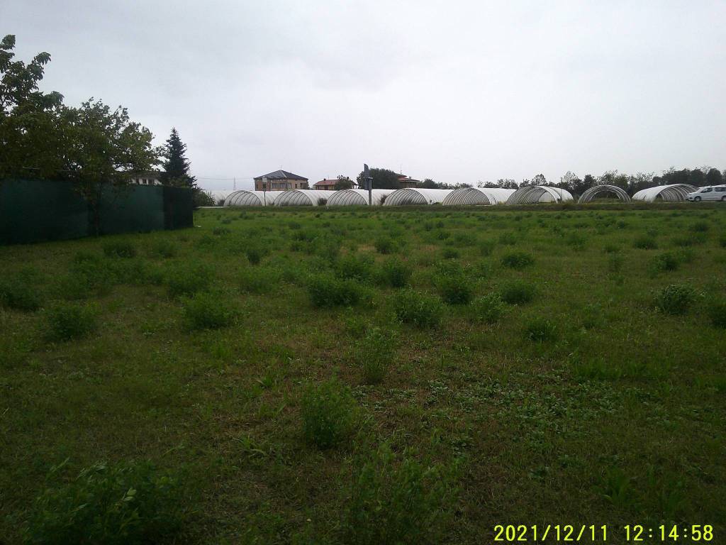 terreno agricolo in vendita a Zanica
