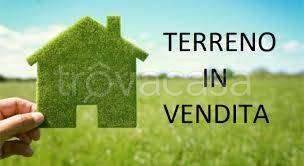 immagine annuncio 0 di 1