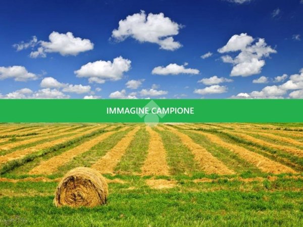 terreno agricolo in vendita a Zanica in zona Padergnone