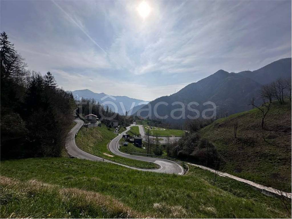 terreno agricolo in vendita a Zogno in zona Ambria / Spino al Brembo