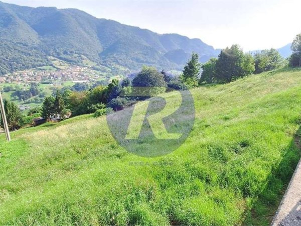 terreno edificabile in vendita a Zogno in zona Endenna