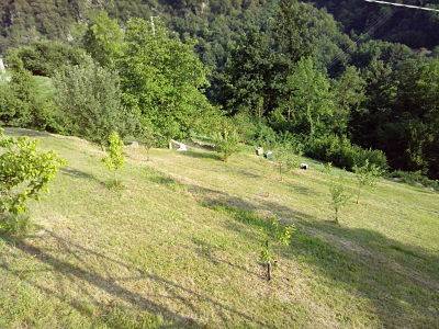 terreno edificabile in vendita a Zogno in zona Ambria / Spino al Brembo