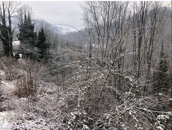 terreno agricolo in vendita a Zogno in zona Poscante