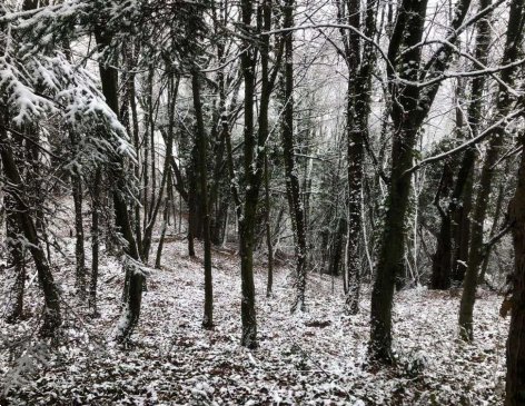casale in vendita a Zogno in zona Somendenna