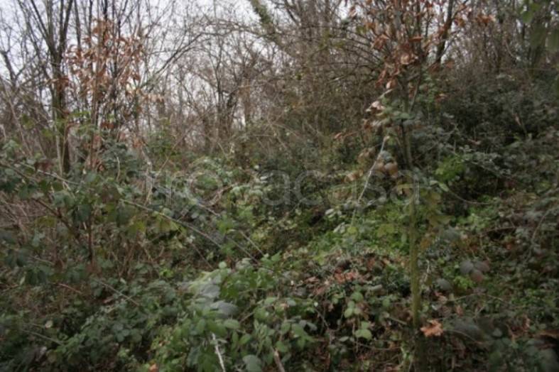 ufficio in vendita a Zogno