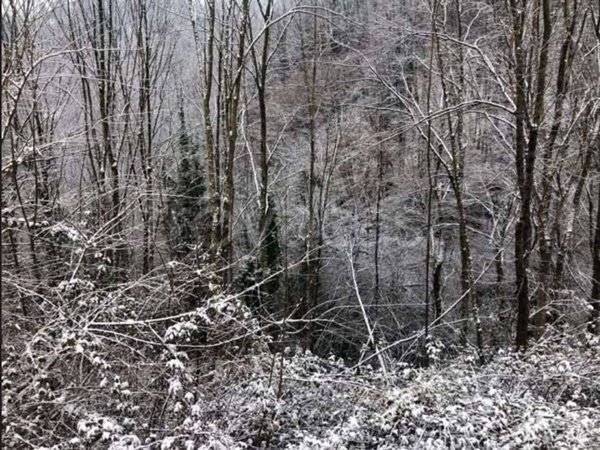 appartamento in vendita a Zogno in zona Poscante