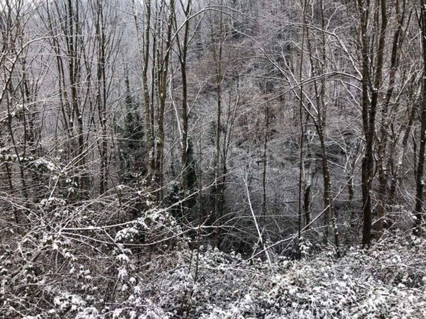 terreno edificabile in vendita a Zogno