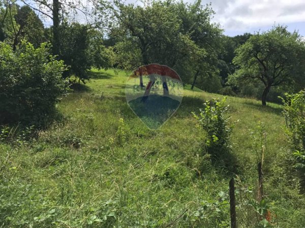 terreno agricolo in vendita a Zogno