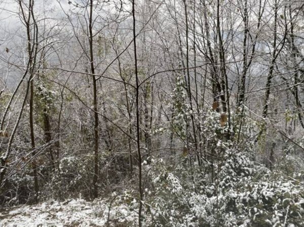 ufficio in vendita a Zogno