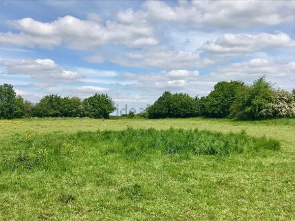 terreno agricolo in vendita a Zogno
