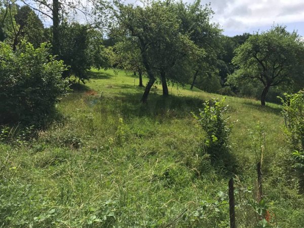 casale in vendita a Zogno