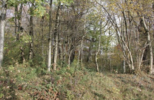 terreno agricolo in vendita a Costa Serina