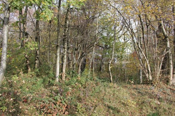 terreno agricolo in vendita a Costa Serina