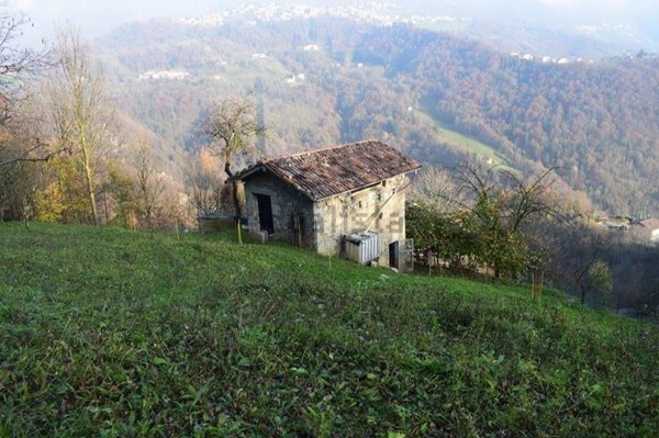 appartamento in vendita ad Algua