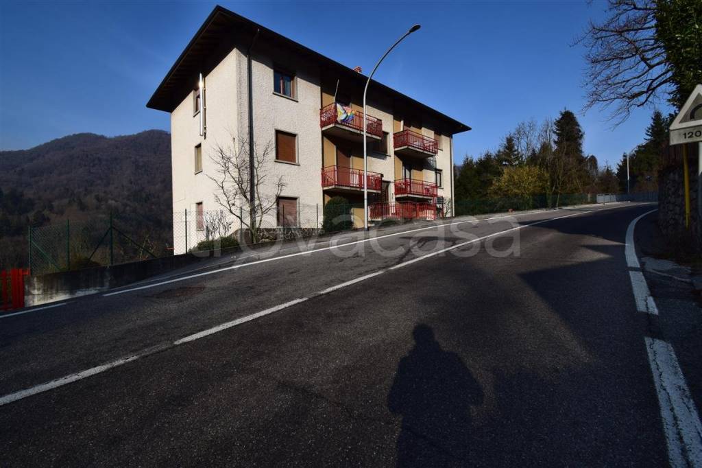 appartamento in vendita ad Algua