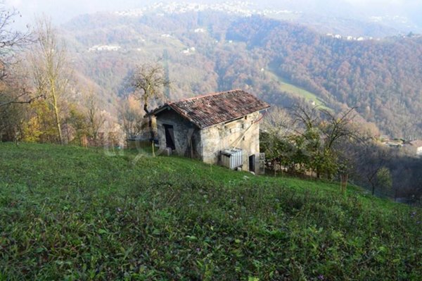 casa indipendente in vendita ad Algua