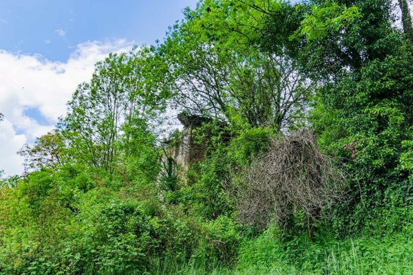 appartamento in vendita ad Algua