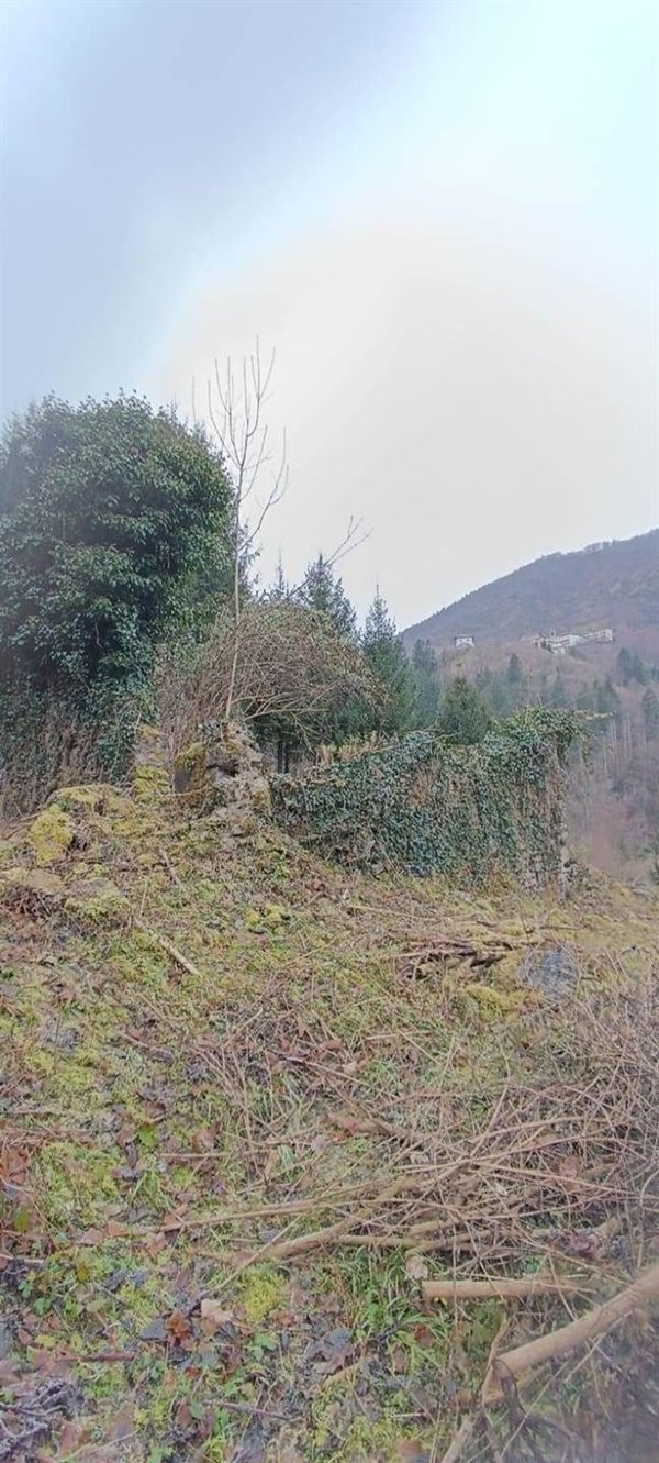 terreno agricolo in vendita ad Algua