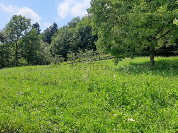 appartamento in vendita ad Algua