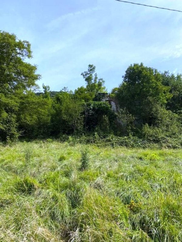 esavano in vendita ad Algua in zona Rigosa