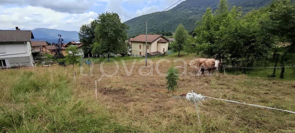 terreno agricolo in vendita a Sant'Omobono Terme in zona Valsecca