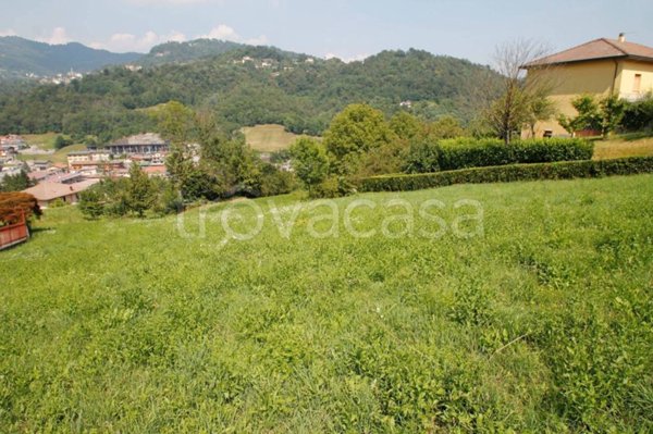 terreno agricolo in vendita a Sant'Omobono Terme in zona Cepino