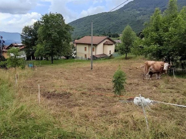 terreno agricolo in vendita a Sant'Omobono Terme in zona Valsecca