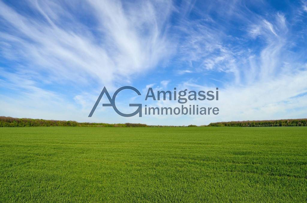 terreno agricolo in vendita a Sant'Omobono Terme