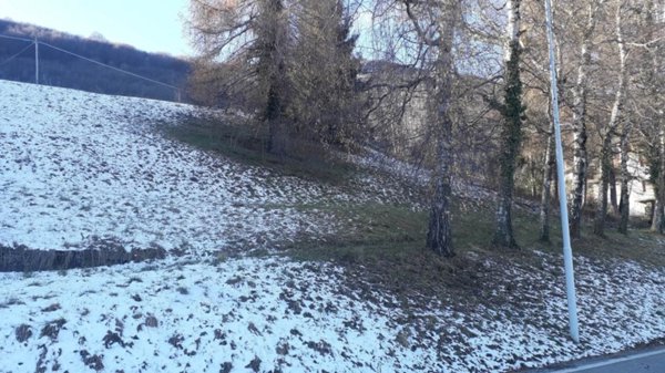 terreno agricolo in vendita a Sant'Omobono Terme