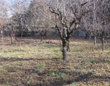 terreno agricolo in vendita a Sant'Omobono Terme