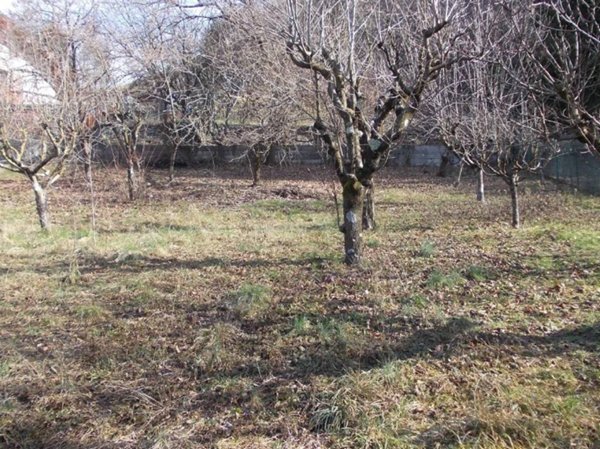 terreno edificabile in vendita a Sant'Omobono Terme