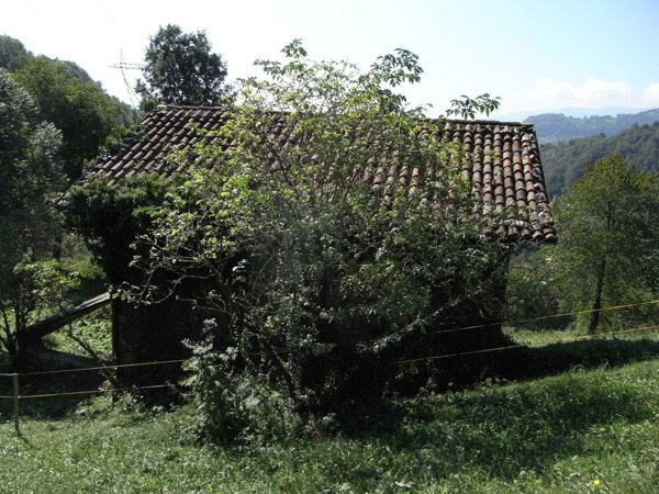 appartamento in vendita a Val Brembilla in zona Gerosa