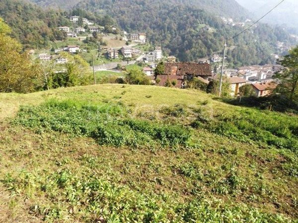 terreno agricolo in vendita a Val Brembilla in zona Brembilla