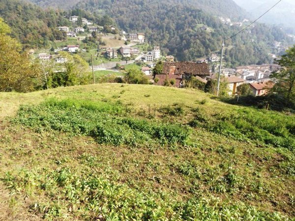 casa indipendente in vendita a Val Brembilla in zona Brembilla