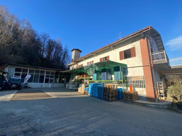 pentavano in vendita a Baldissero Canavese
