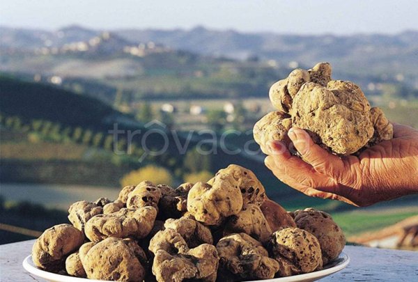 negozio in vendita a Baldissero Torinese
