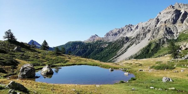 negozio in vendita a Bardonecchia
