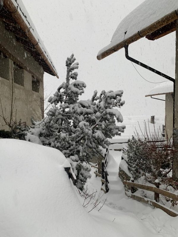 appartamento in vendita a Bardonecchia