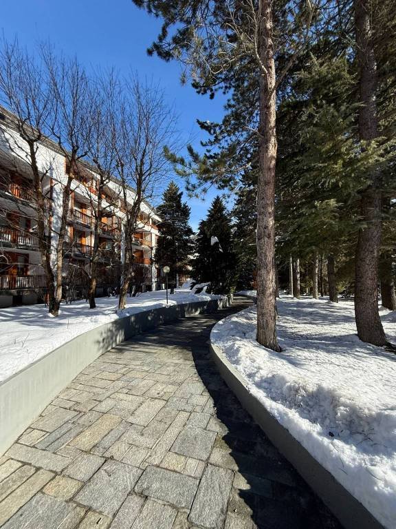 appartamento in vendita a Bardonecchia