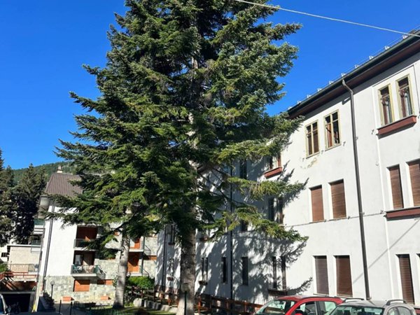 appartamento in vendita a Bardonecchia