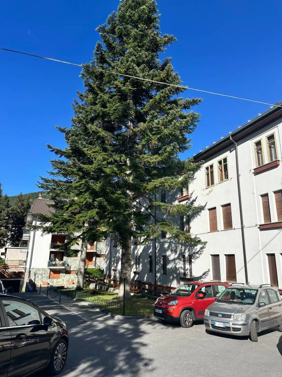 appartamento in vendita a Bardonecchia