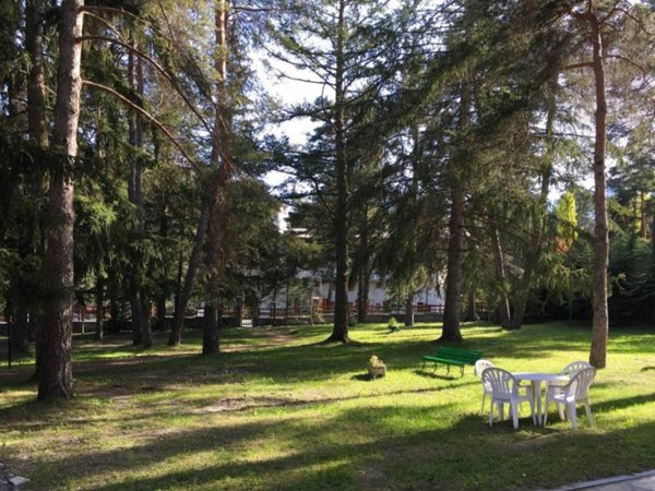 casa indipendente in vendita a Bardonecchia