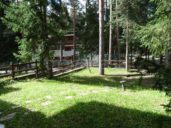 appartamento in vendita a Bardonecchia