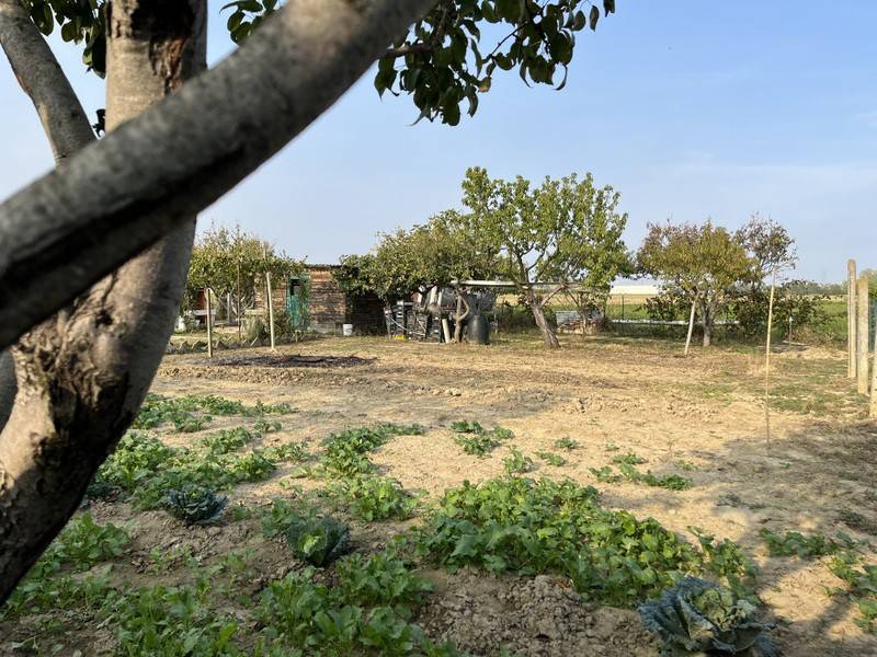 terreno agricolo in vendita a Beinasco in zona Borgaretto