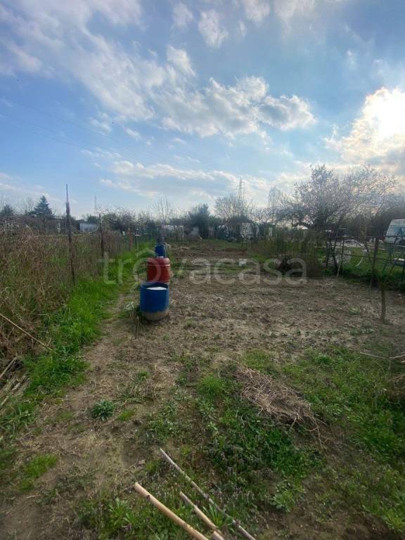 terreno agricolo in vendita a Beinasco in zona Borgaretto