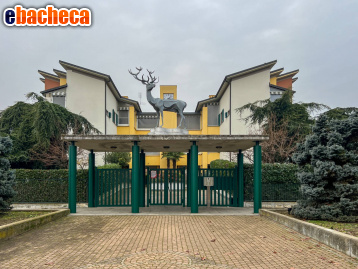 appartamento in vendita a Beinasco