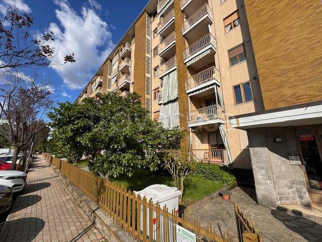 appartamento in vendita a Beinasco in zona Borgaretto