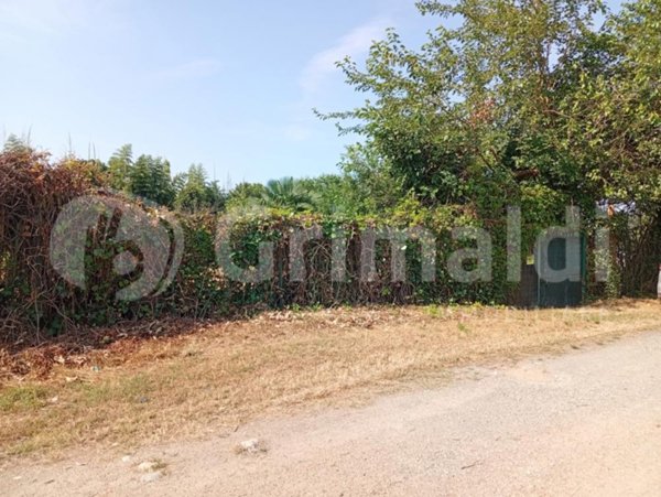 terreno agricolo in vendita a Beinasco in zona Borgaretto